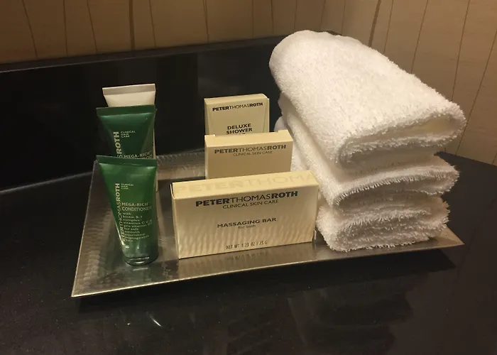 Hilton Chicago O'hare Hotel 4*