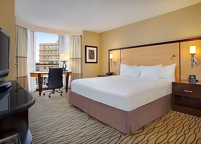 Hilton Chicago O'hare Hotel Rosemont