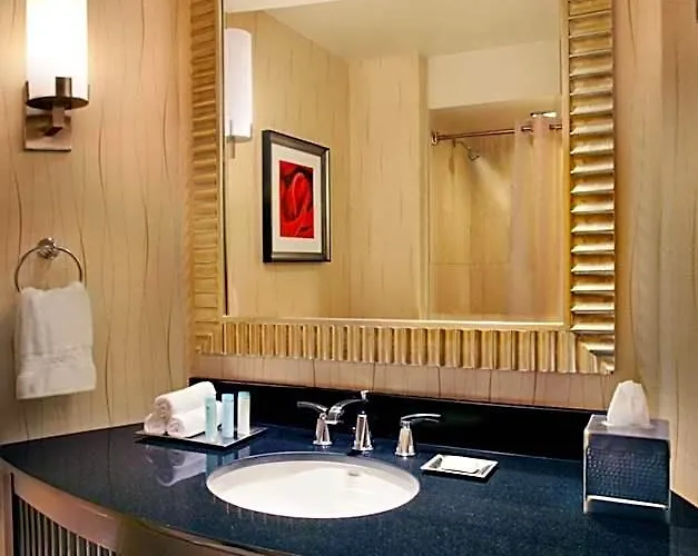 Hilton Chicago O'hare Hotel 4*